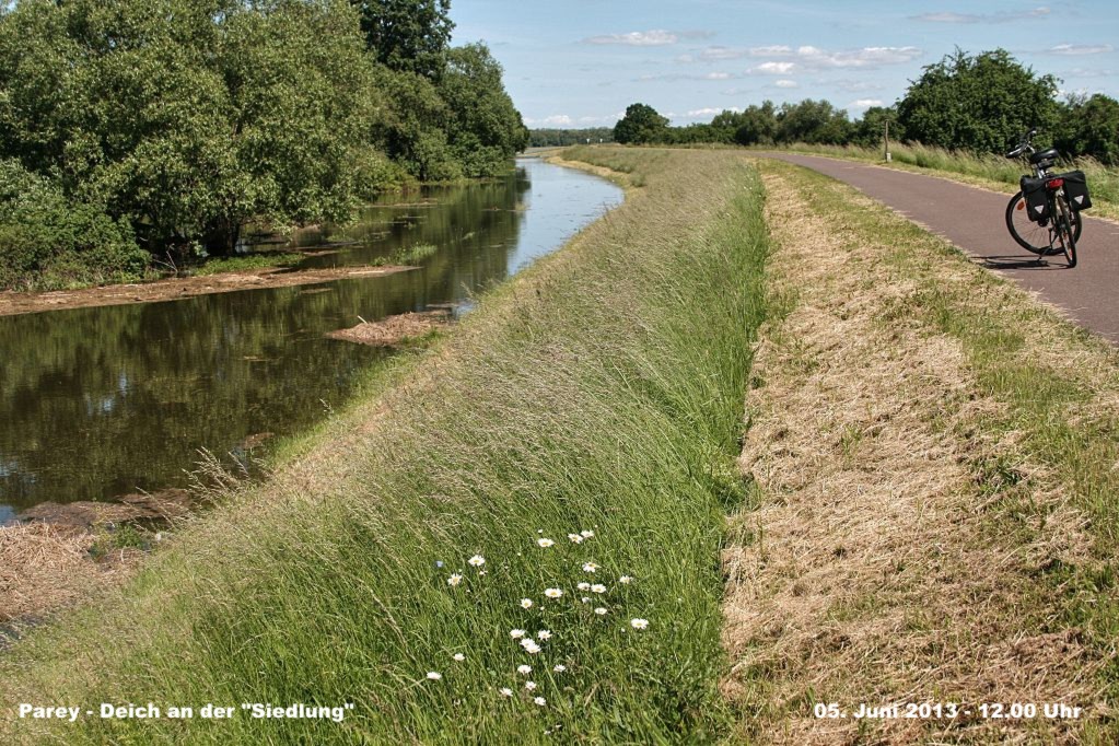 Hochwasser- 2013_06_06-0030-Parey.jpg